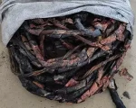 Cláudio: Homem é preso após furtar fiação elétrica
