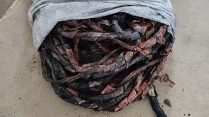 Cl&aacute;udio: Homem &eacute; preso ap&oacute;s furtar fia&ccedil;&atilde;o el&eacute;trica