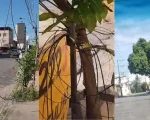 Fios soltos em Divinópolis: Prefeitura e empresas se posicionam