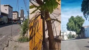 Fios soltos em Divin&oacute;polis: Prefeitura e empresas se posicionam