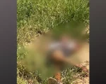 Acusado de matar amigo por drogas é preso em São Gonçalo do Pará
