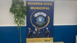 Par&aacute; de Minas: P&eacute; de maconha &eacute; encontrado ao lado de brinquedos em Parque