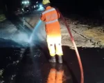 Carga de soja fica espalhada em trecho da BR-354 após acidente com carreta