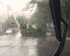 Chuva: Árvores caídas afetam trânsito em Divinópolis