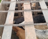 Polícia Militar desmantela quadrilha de furto de gado em Bambuí e região