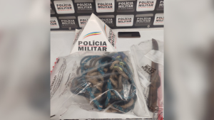 Idoso &eacute; roubado pela pr&oacute;pria afilhada em Divin&oacute;polis