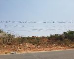 Dois lotes em Divinópolis estão disponíveis para leilão do Governo de Minas