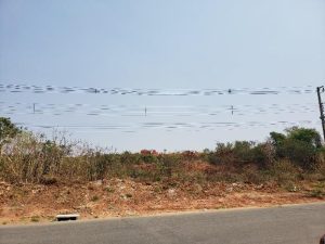 Dois lotes em Divin&oacute;polis est&atilde;o dispon&iacute;veis para leil&atilde;o do Governo de Minas