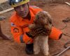 Lagoa da Prata: Cachorro é resgatado de buraco com cerca de 8 metros de profundidade