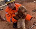 Lagoa da Prata: Cachorro é resgatado de buraco com cerca de 8 metros de profundidade