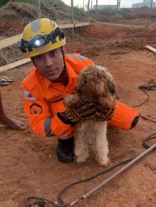 Lagoa da Prata: Cachorro &eacute; resgatado de buraco com cerca de 8 metros de profundidade