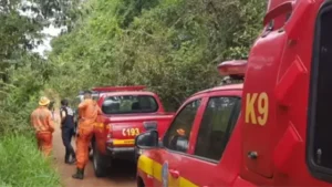 Lagoa da Prata: Bombeiros realizam buscas por corpo em mata