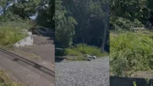 "Aqui est&aacute; parecendo mais lote vago do que uma Pra&ccedil;a", afirmou morador ap&oacute;s registro de sujeira e mato alto