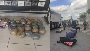 Divin&oacute;polis: Novas informa&ccedil;&otilde;es sobre drogas de origem colombiana apreendidas na MG-050