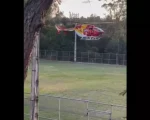 São Sebastião do Oeste: Criança é atacada por pit bull e transferida