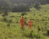 Formiga: Corpo de homem é localizado em pasto
