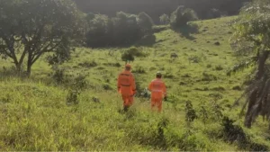 Formiga: Corpo de homem &eacute; localizado em pasto