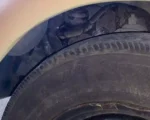 Arcos: Jiboia se esconde debaixo de para-lama de fusca