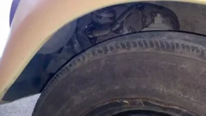 Arcos: Jiboia se esconde debaixo de para-lama de fusca