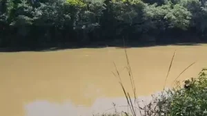 Corpo em estado de decomposição é localizado no rio Pará