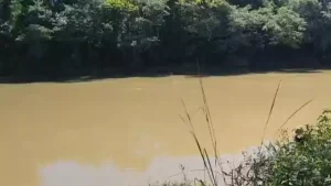 Corpo em estado de decomposi&ccedil;&atilde;o &eacute; localizado no rio Par&aacute;