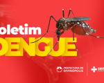 Dengue e Chikungunya continuam em alta na cidade