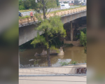 Prefeitura e engenheiro descartam risco na ponte do Porto Velho