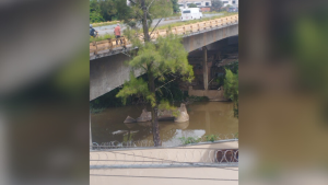 Prefeitura e engenheiro descartam risco na ponte do Porto Velho