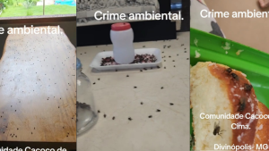 Moradores de Cacôco de Cima clamam por ajuda contra infestação de mosquitos