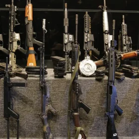 Transferir a estados legislação sobre armas pode favorecer criminosos