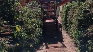 Homem morre eletrocutado na zona rural de Piumhi