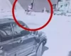 Nova Serrana: Tentativa de furto de motocicleta é frustrada por moradora atenta