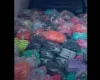 Mais de 800 pares de chinelos falsificados são apreendidos em carro de Nova Serrana