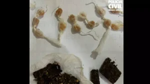 PC prende suspeito de tr&aacute;fico de drogas em Arcos