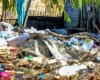 Número de mortos por chuvas no Rio Grande do Sul chega a 155
