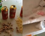 Bandidos furtam sítio, bebem cerveja e tomam banho na zona rural de Cláudio