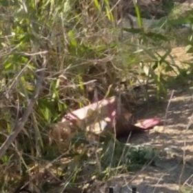 Bebê é encontrado morto em Perdigão; corpo estava em caixa de papelão