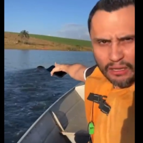 Senador Cleitinho diz que “COPASA joga bosta no Lago de Furnas”