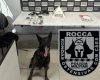 Homem é preso com armas e drogas no Santos Dumont, em Divinópolis