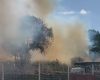 Incêndio atinge margens da MG-050, em Divinópolis