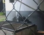 Morador registra vazamento de água no Liberdade, em Divinópolis