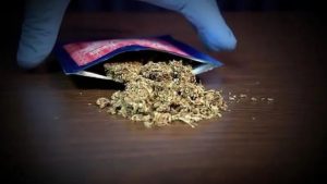 PM atende ocorrência de drogas K9 em Carmo do Cajuru