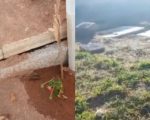 Prefeitura abre comissão para investigar túmulos abertos no Parque da Colina, em Divinópolis