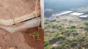 Prefeitura abre comissão para investigar túmulos abertos no Parque da Colina, em Divinópolis