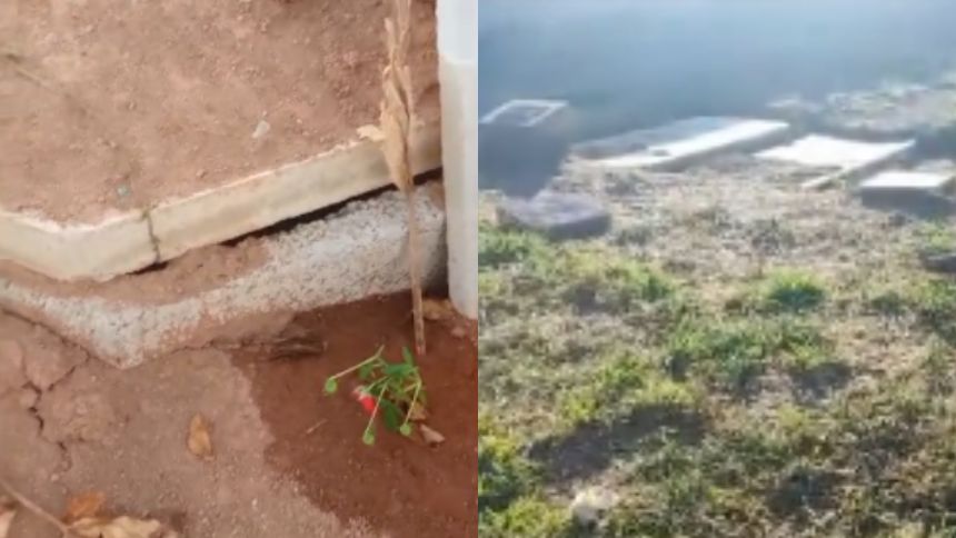 Prefeitura abre comissão para investigar túmulos abertos no Parque da Colina, em Divinópolis