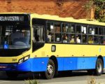 Veja horários e linhas especiais de ônibus para a Divinaexpo