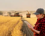 Curso capacitará jornalistas no agronegócio; veja como se inscrever