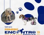 Divinópolis recebe neste final de semana o primeiro Encontro de Pet Especial