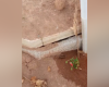 Veja vídeo; moradores denunciam túmulos abertos em cemitério de Divinópolis