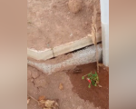 Veja vídeo; moradores denunciam túmulos abertos em cemitério de Divinópolis